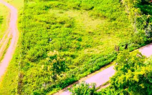 3.25 Acres Land for Sale Near Parigi
