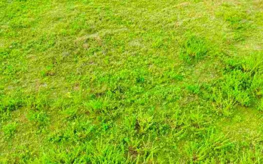 4 Acres Agricultural Land for Sale Near Parigi (Doma)