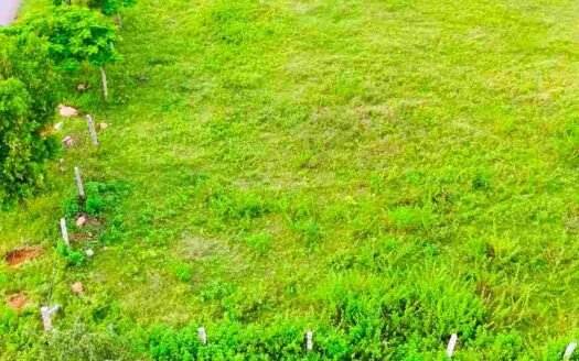 4 Acres Agricultural Land for Sale Near Parigi (Doma)