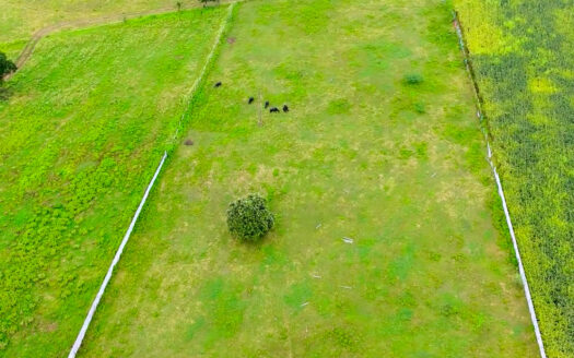 2 Acres 23 Guntas Commercial Land for Sale Near Parigi
