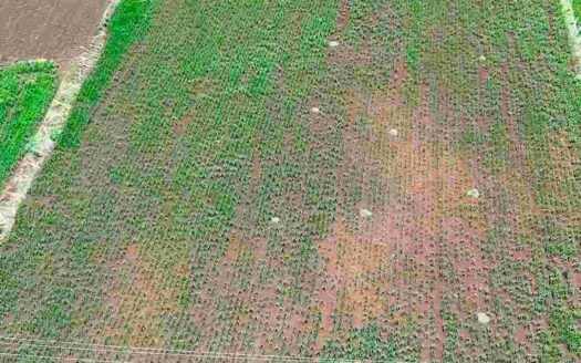 1 Acre 28 Guntas Land for Sale Near Parigi
