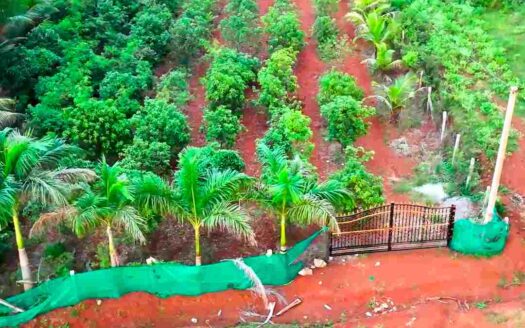 1 Acre 6 Guntas Land for Sale Near Parigi