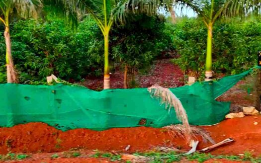 1 Acre 6 Guntas Land for Sale Near Parigi