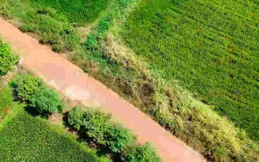 2 Acres Land for Sale Near Parigi