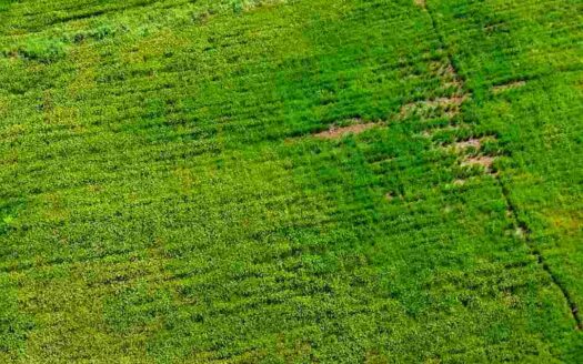 2 Acres Land for Sale Near Parigi