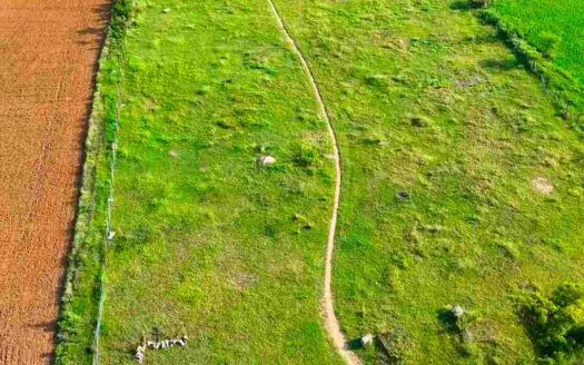 2.02 Acres Land for Sale Near Kodangal