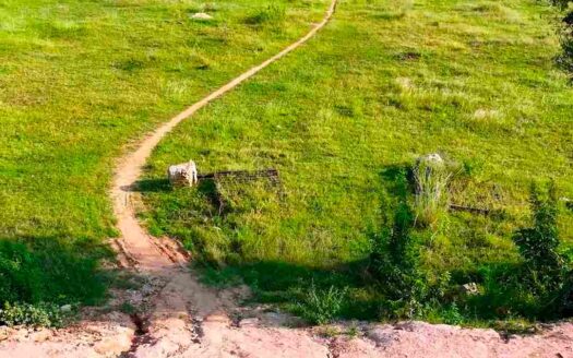2.02 Acres Land for Sale Near Kodangal