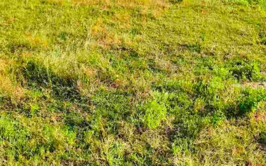 2.02 Acres Land for Sale Near Kodangal