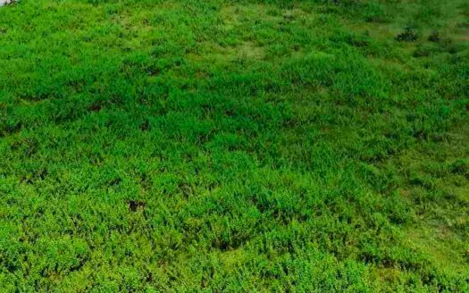 2.10 Acres Land for Sale Near Parigi