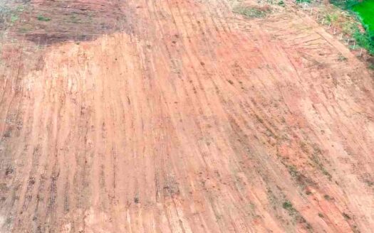 3 Acres Land for Sale Near Parigi