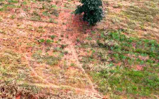 3 Acres 30 Guntas Land for Sale Near Parigi