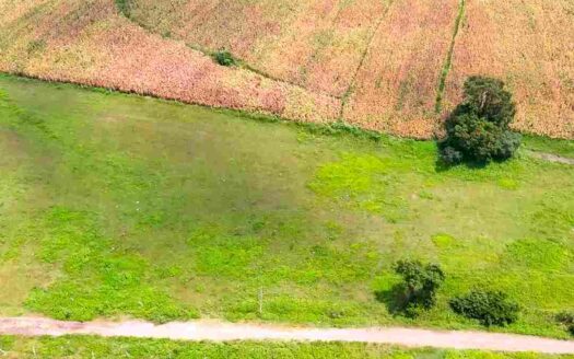 4 Acres 20 Guntas Land for Sale Near Parigi