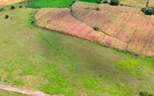4 Acres 20 Guntas Land for Sale Near Parigi