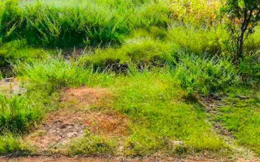 5 Acres Land for Sale Near Parigi