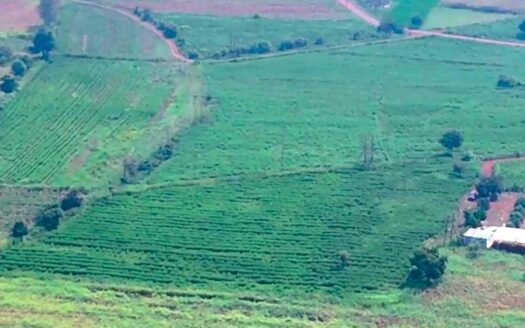6.20 Acres Land for Sale Near Parigi